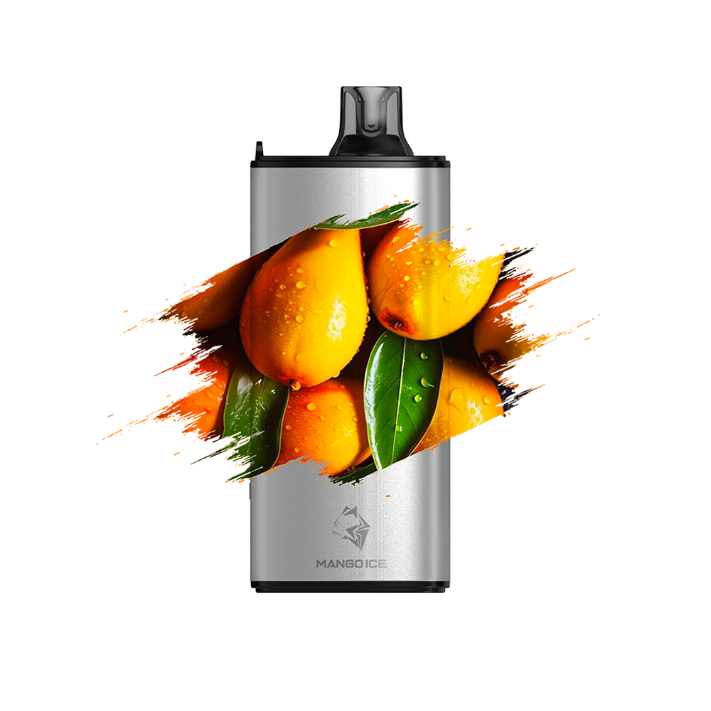 02_01b220b0-9d69-4867-827b-99f1137122b0.png