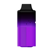 Blackcurrant Apple